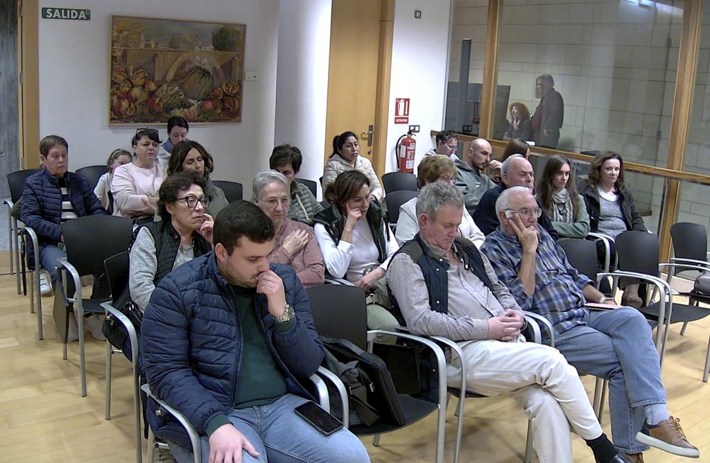 La Plataforma por el Viaducto impulsa una moci�n de urgencia para que el Alcalde suspenda cautelarmente las obras del AVE 